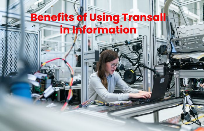 Benefits of Using Transall in Information Technology