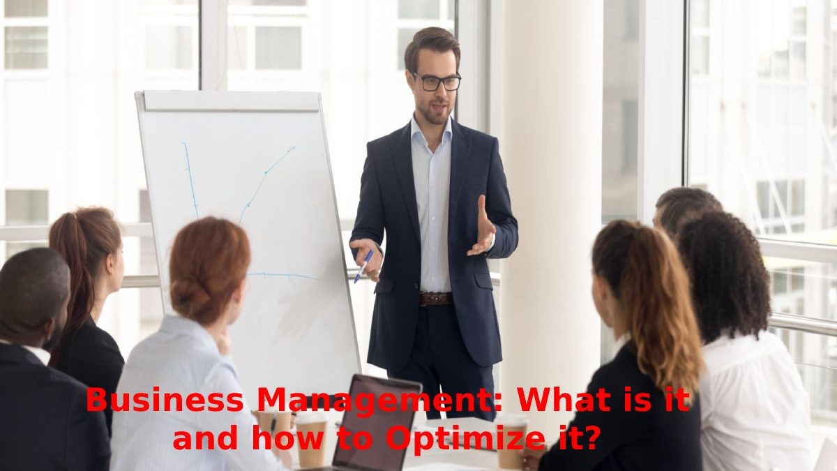 Business Management: What is it and how to Optimize it?