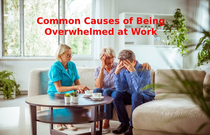 Causes Of Being Overwhelmed
