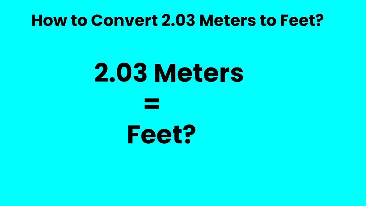 How to Convert 2.03 Meters to Feet?