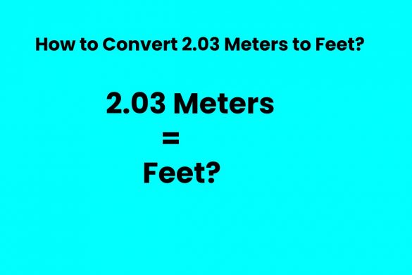 Convert 2.03 Meters to Feet