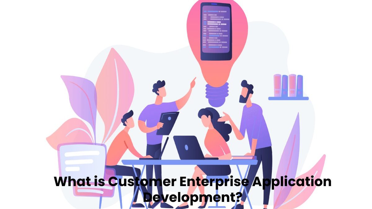 What is Customer Enterprise Application Development?