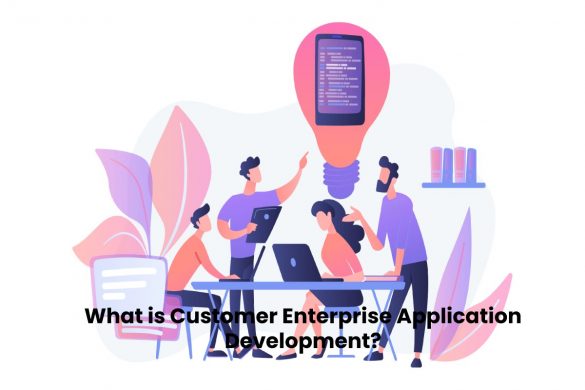 Customer Enterprise Application Development 1