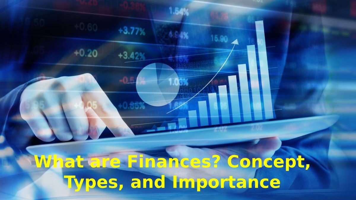 What are Finance? Concept, Types, and Importance