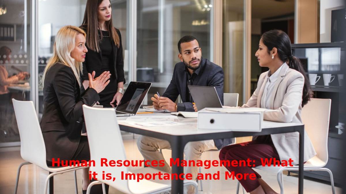 Human Resources Management: What it is, Importance and More