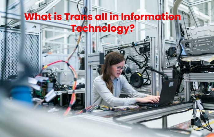 Trans all in Information Technology