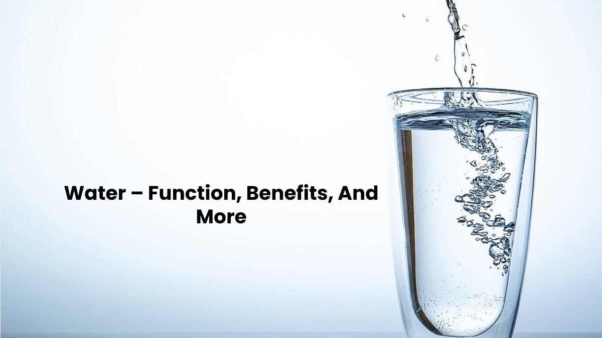 Water – Function, Benefits, And More