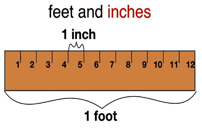 What is Feet?
