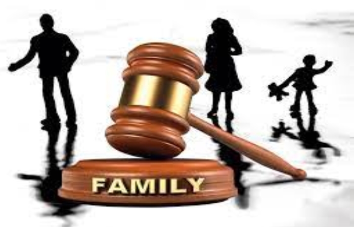 Family law digital marketing (3)