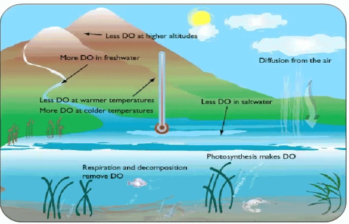 How do you Get Oxygen from Water?