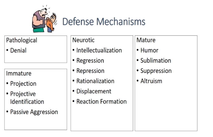 Main Features of Intellectual Property (1)