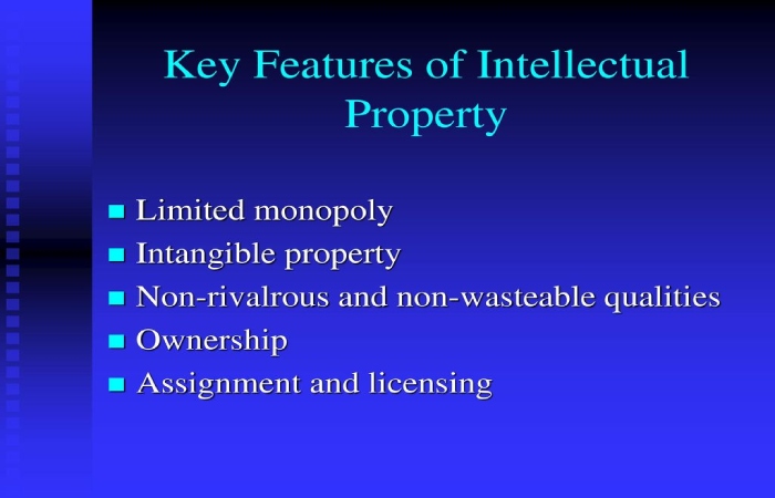 Main Features of Intellectual Property