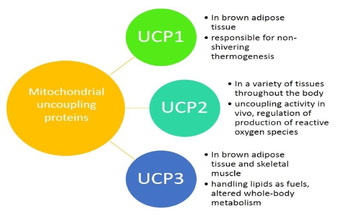 what is a trup (3)