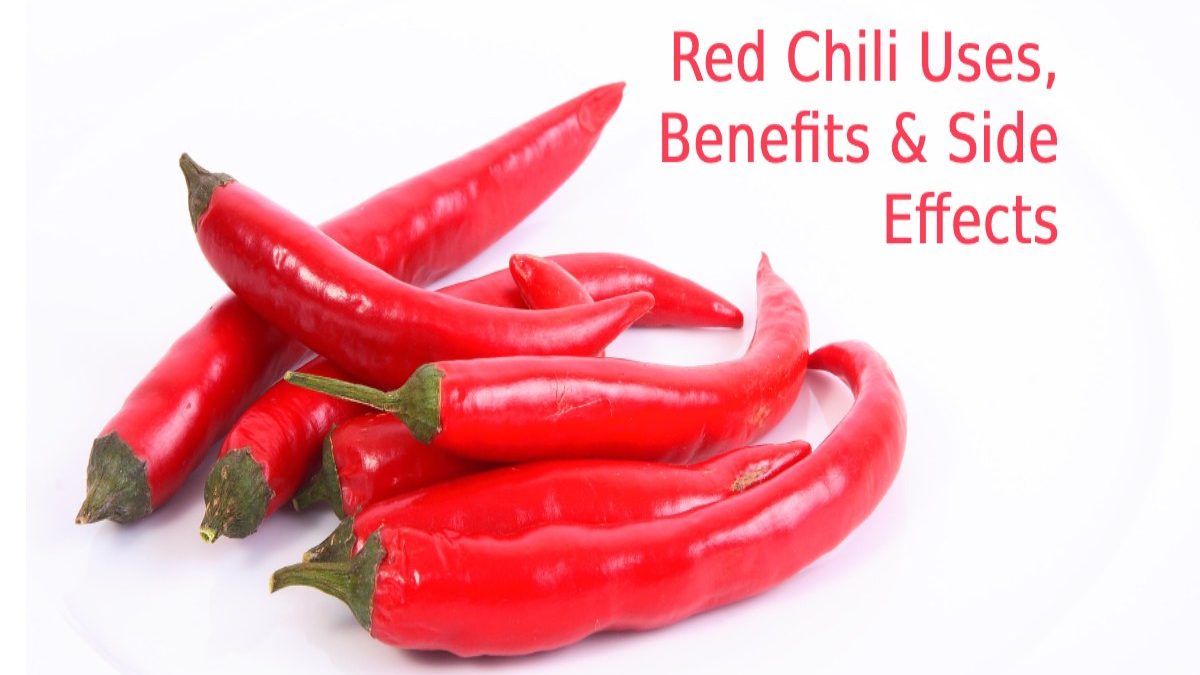 Wellhealthorganic.com:red-chilli-you-should-know-about-red-chilli-uses-benefits-side-effects