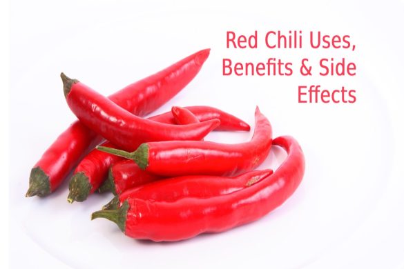 Red Chilli Uses Benefits and side effects (1)