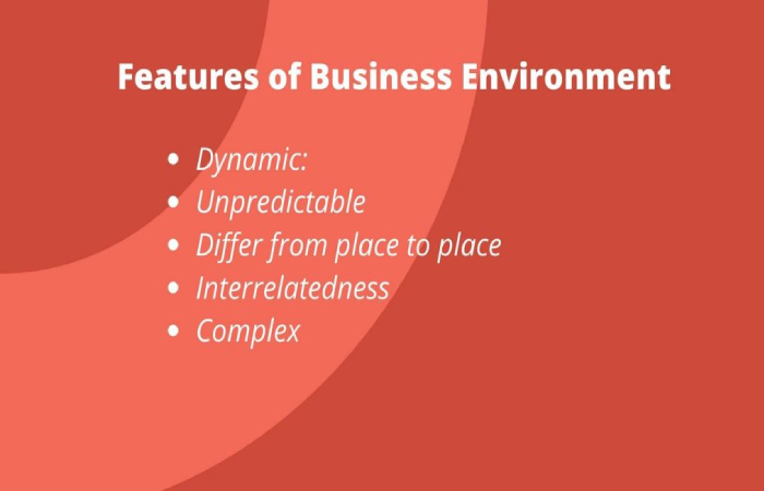 Features of Business Environment