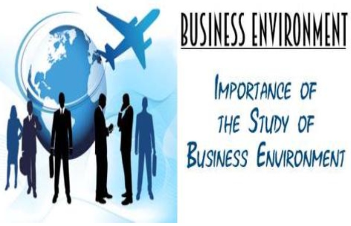 Importance of Business Environment and its Growth